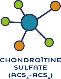 molécule chondroïtine sulfate